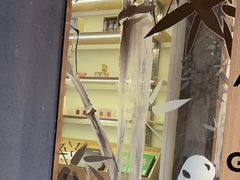 -霸王茶姬(正佳广场店)