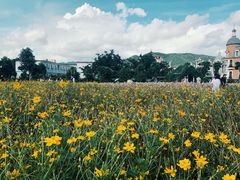 -玫瑰小镇
