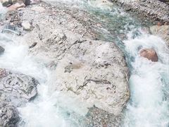 -西岭雪山大飞水景区