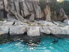 -上海野生动物园