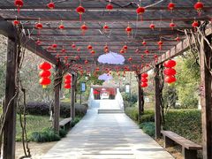 -白马涧龙池景区