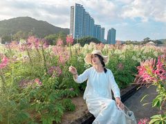 -玫瑰海岸文化旅游度假区