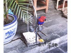 -丽江庭院之爱在路上(西单店)