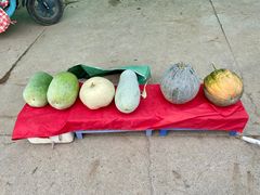 -朱辛庄(地铁站)