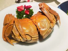 十年花雕熟醉蟹-金典银峰老鹅馆·昆山菜(亭林公园店)