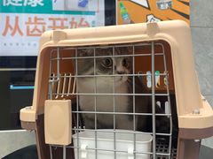 -美联众合动物医院(·中兽医·疑难杂症·严家桥分院)