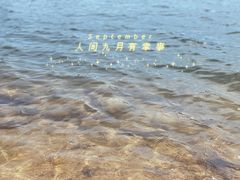 -望湖烤鱼