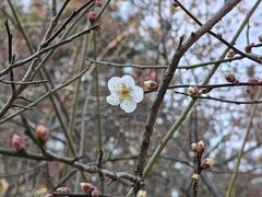 -浙江农林大学(东湖校区)