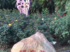 -人民公园(罗湖区)