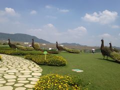 -光明小镇欢乐田园