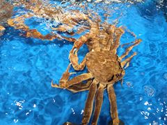 -尚优超市面点区(白丽生活广场店)