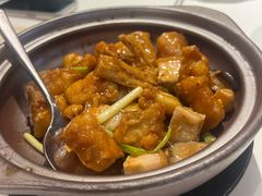 窝烧石斑鱼腩-陶陶居·雅园(凯华国际店)