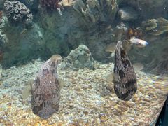 -福州罗源湾海洋世界旅游区