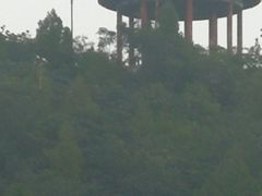 -府君山公园