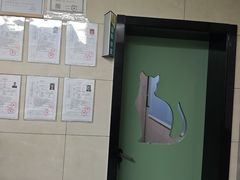 -半岛宠物医院24小时(白果林店)