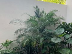 -漫笙舍Manse·咖啡·民宿