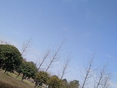 -洨河生态公园
