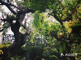 那可以来这边，如果主要是想吃东西那就不必了！