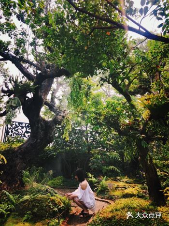 那可以来这边，如果主要是想吃东西那就不必了！