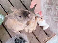 -上方山森林动物世界