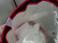 -北京观赏动物医院·24小时大型综合·猫专科·异宠专科