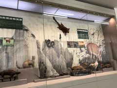 -北京中医药大学-中医药博物馆