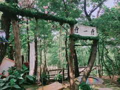 -沂蒙山旅游区云蒙景区(蒙山国家森林公园)