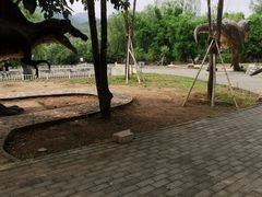 -百里山水画廊-恐龙游乐园