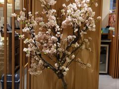 -胜博殿日式炸猪排(悠唐店)