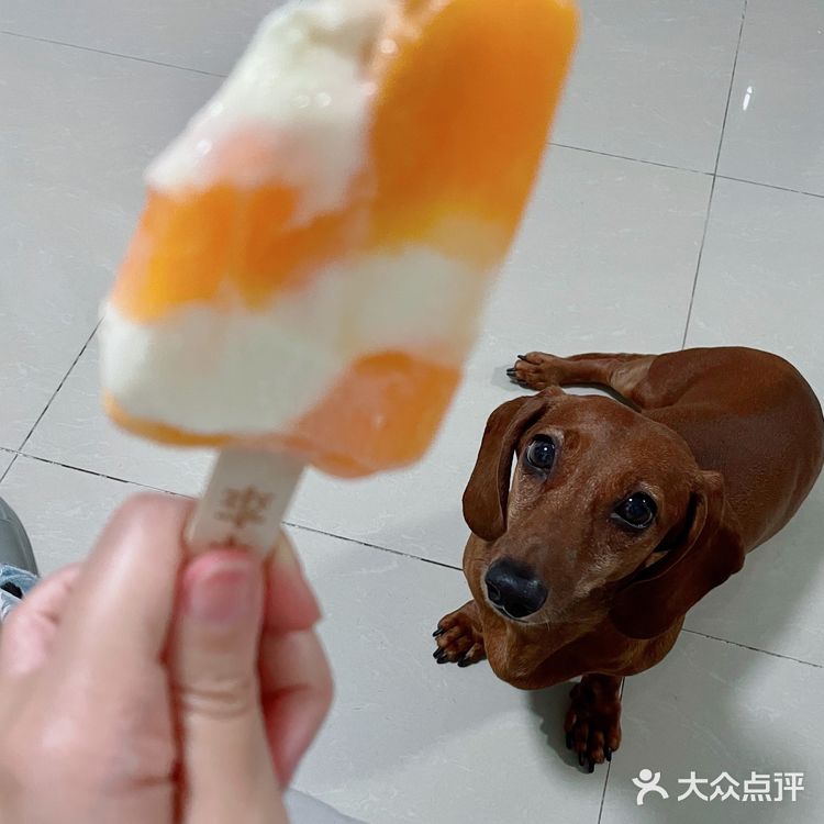 🍊橙子汽水遇上丝滑牛奶冰淇淋🧡