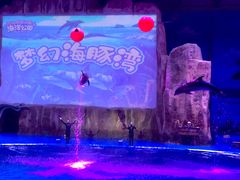 -华夏文旅海洋公园