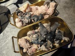 -Darling Queen·Mini·Live·House