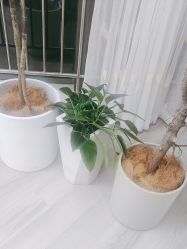 -HEYAN荷妍专业脱毛连锁机构