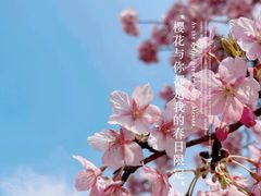 -上海辰山植物园