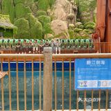 融创乐园欢乐游