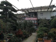 -金科花卉市场