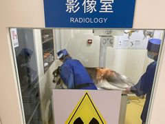 -芭比堂动物医院·犬猫全科·异宠专科(雁塔分院)