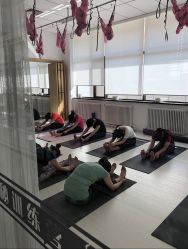 -梅·瑜伽李欣普拉提学院