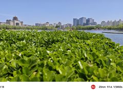 -莲花池公园
