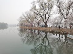 -颐和园