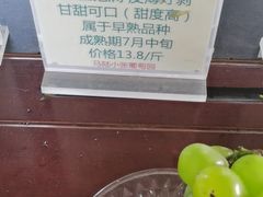 -马陆小张葡萄园农家乐