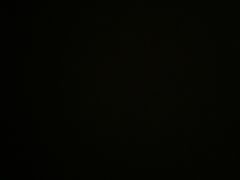 -徐记海鲜(曲江南湖店)