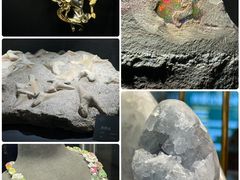-中国地质博物馆