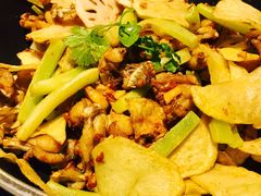 -蛙蛙叫干锅年代(簋街总店)