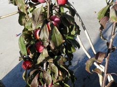 -庆岭迎宾园正宗活鱼馆