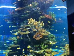 -多彩贵州城极地海洋世界