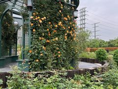 -金银湖国家城市湿地公园
