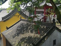 -赭山公园