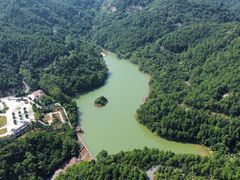 -广州白江湖森林公园