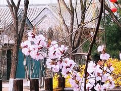 -三里河公园
